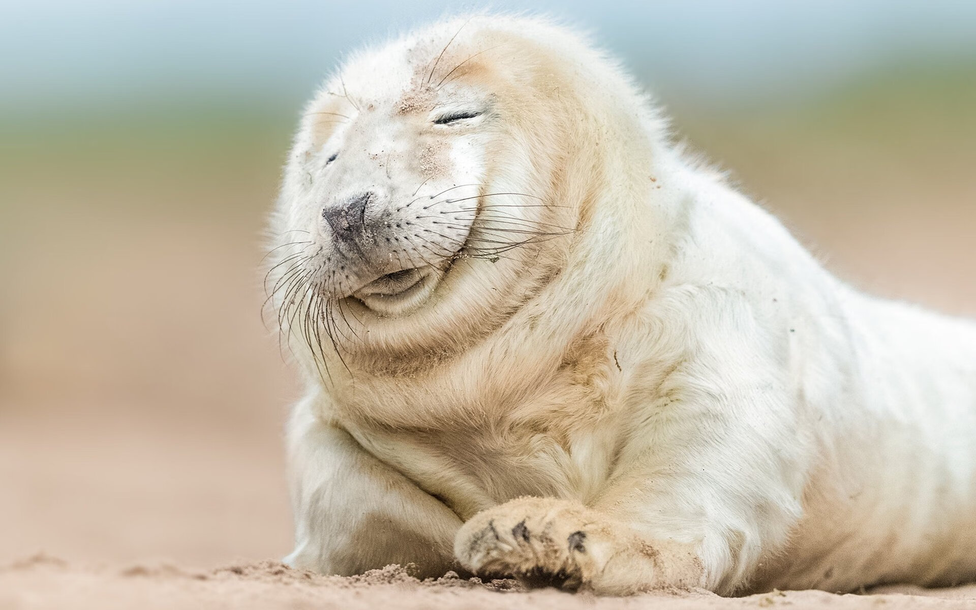 9游电竞站-2019年总决赛第六场:勇士在主场迎战热火,库里在关键第四节连续投中两记三分,带队成功逆转,夺得队史第四个总冠军。